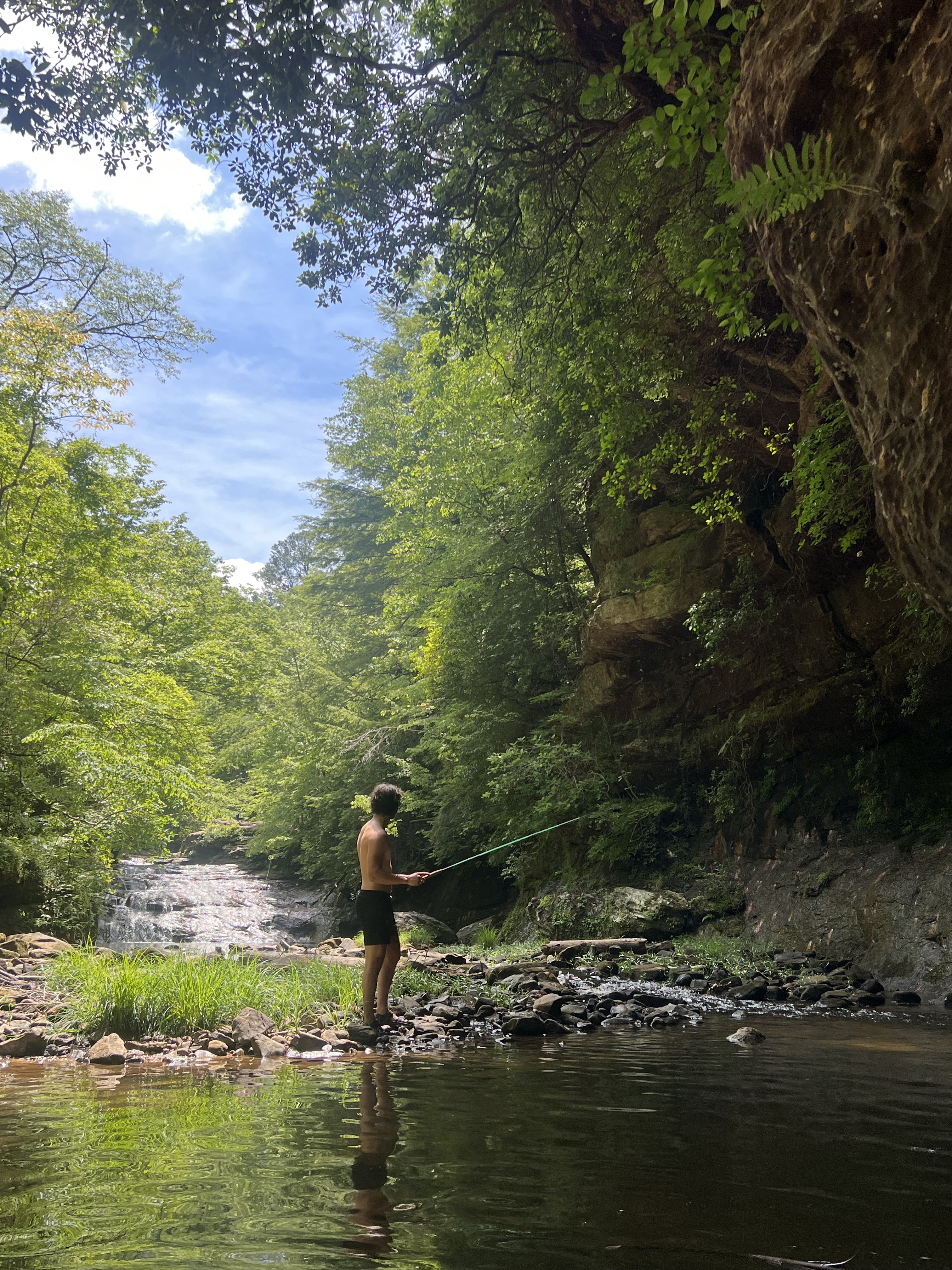 Bankhead National Forest Creek.jpg