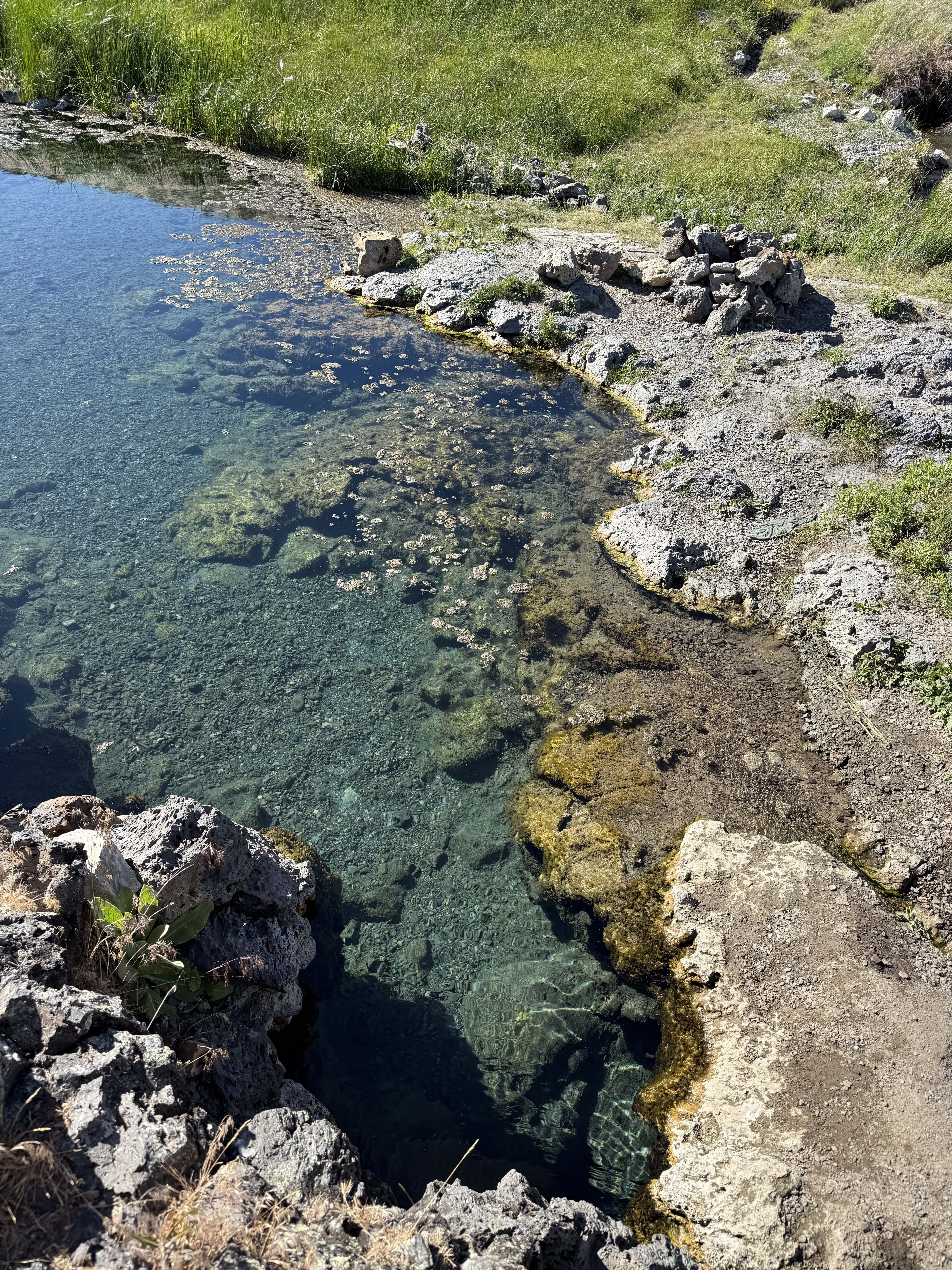 roadside hotspring.jpg