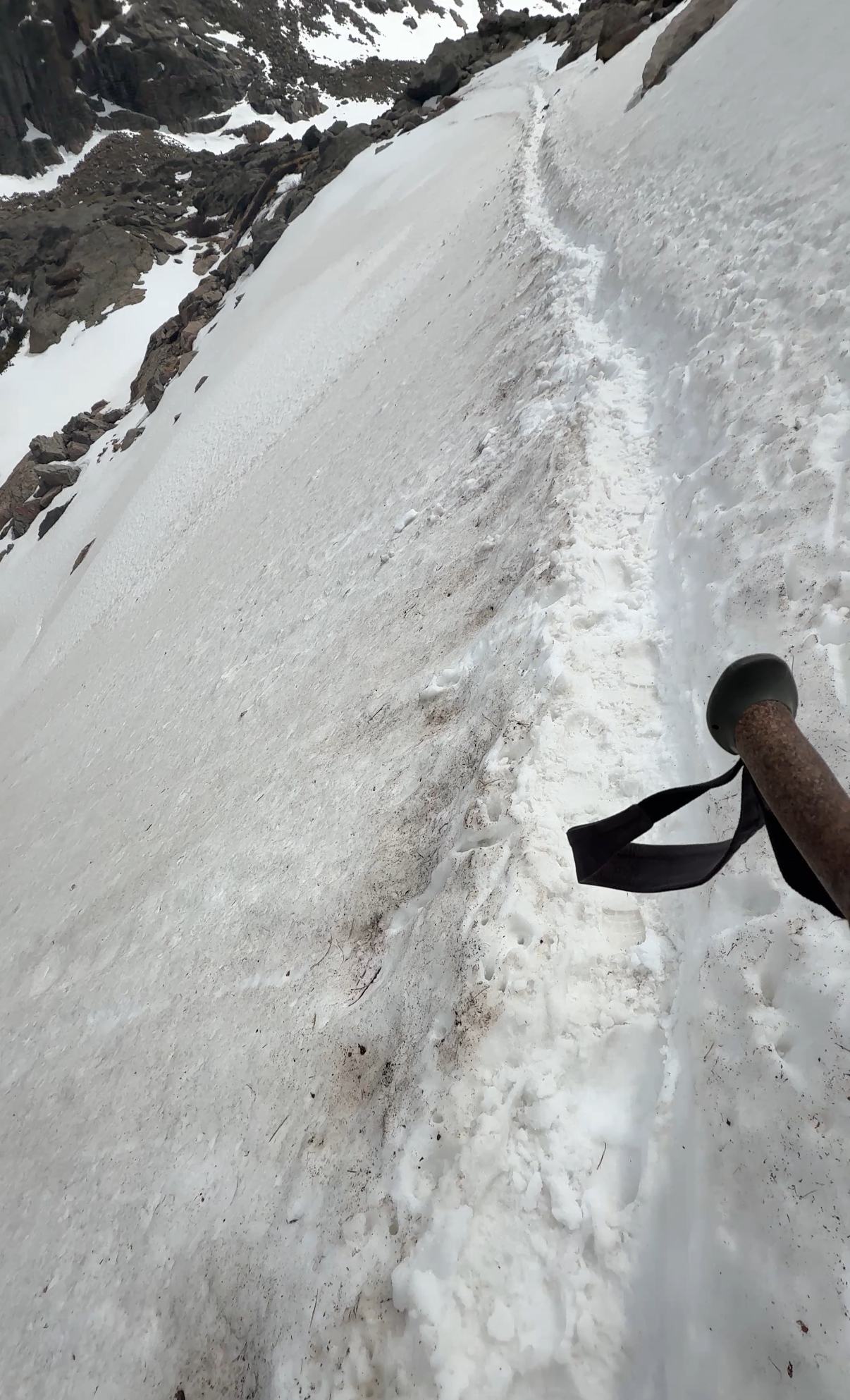 the trail at chasm lake.jpg