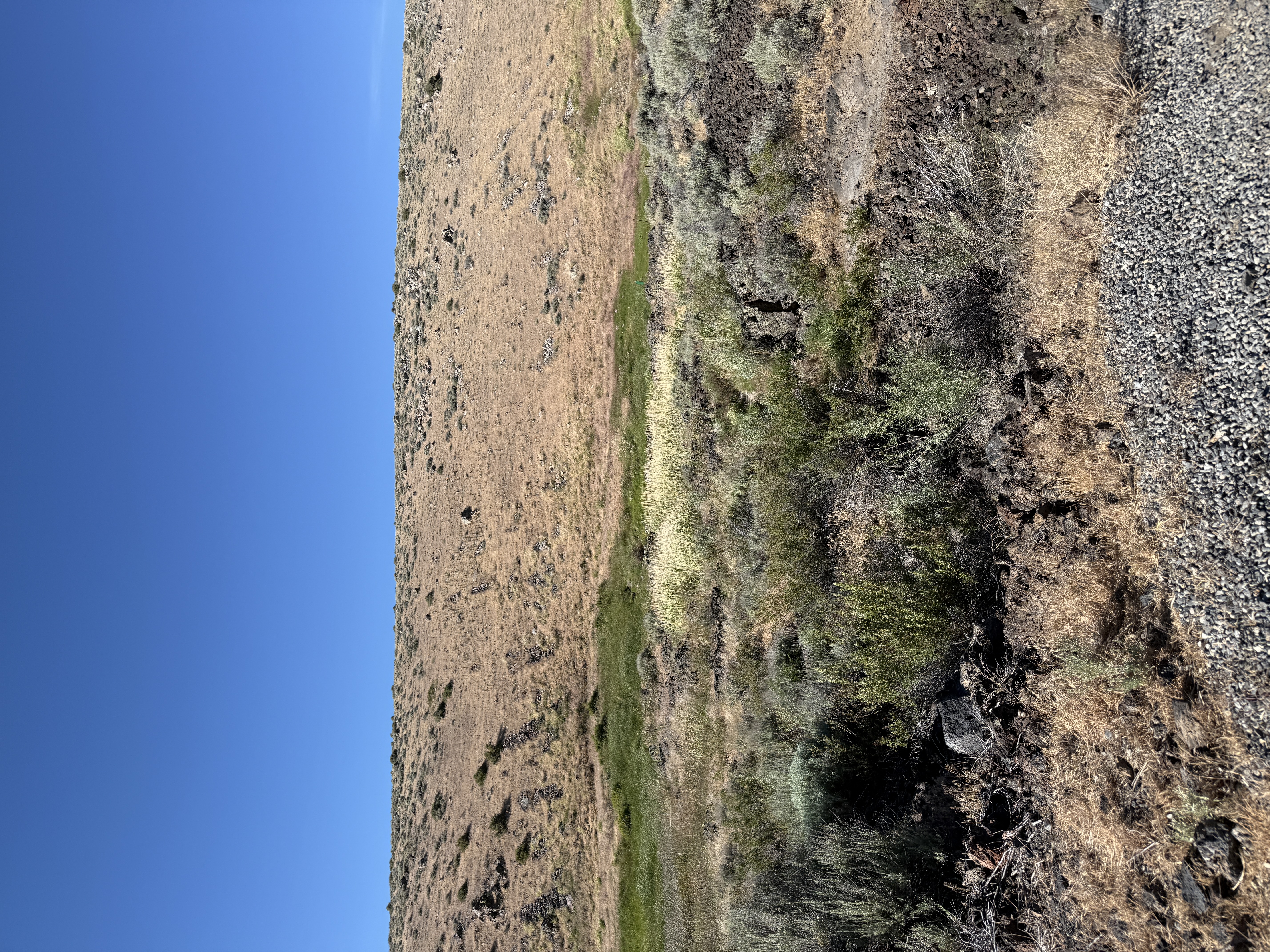 view from the road.jpg